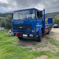 Camion carrellone