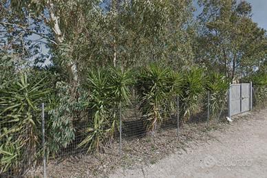 Terreno recintato a Porto Cesareo