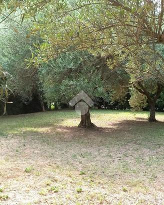 TER. RESIDENZIALE A TEOLO