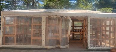 Gazebo professionale in Legno Lamellare 8,30 x 4,8
