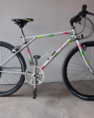 bicicletta Mountain bike