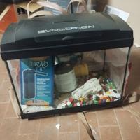 acquario 