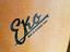 Immagine 5