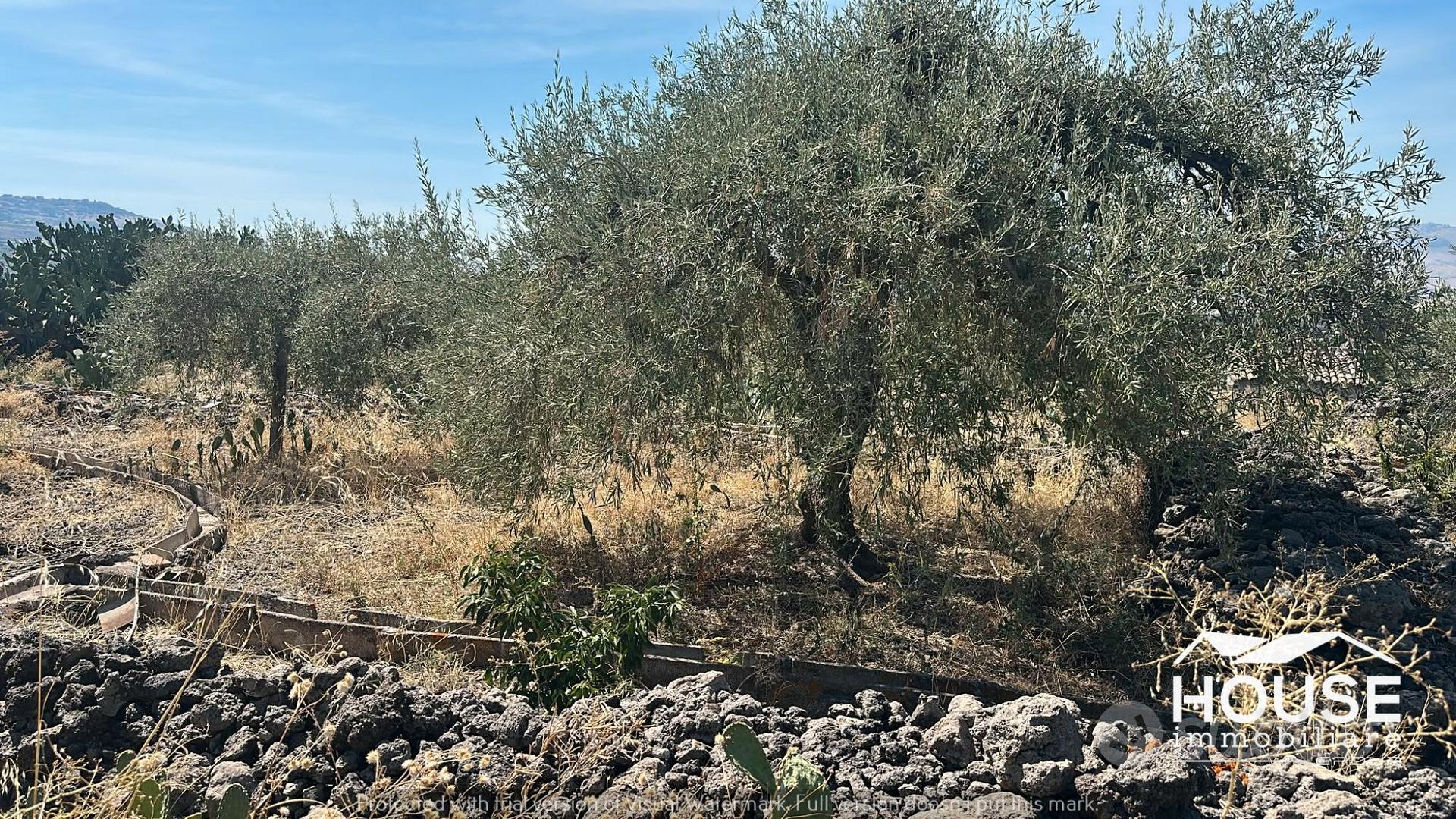 ADRANO – TERRENO CON CASEGGIATO - Vista 2