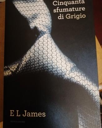 50 sfumature di grigio 