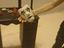 Immagine 5
