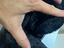 Immagine 3