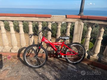 Bicicletta
