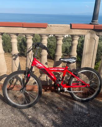 Bicicletta