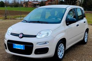 Fiat Panda 1.2 5p Lounge  Unicoproprietario