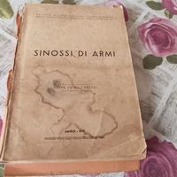 Sinossi di Armi - Lavori di Fortificazioni Campali