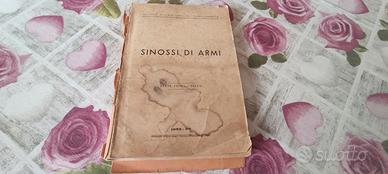 Sinossi di Armi - Lavori di Fortificazioni Campali