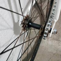 Bicicletta da allenamento