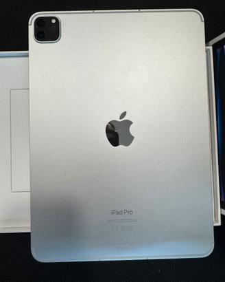 IPAD PRO 11" M2 512GB WIFI CON GARANZIA 12 MESI