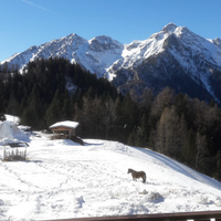 Appartamento Foppolo