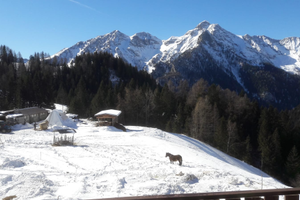 Appartamento Foppolo