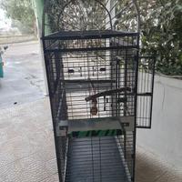 Gabbia per volatili di media e grande taglia