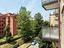 Immagine 15