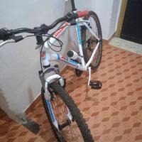 MTB STARFIGH Atala 
