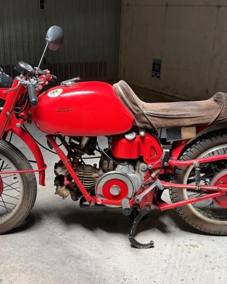 Moti Guzzi Airone 250 Sport 