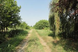 Immobile in asta di 10261 m² a Turano Lodigiano