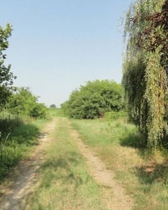 Immobile in asta di 10261 m² a Turano Lodigiano