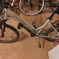 bici elettrica frisbee