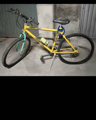 Mountain bike Pescara