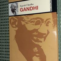 1 Libro biografia Yogesh Gandhi vintage book Gandi