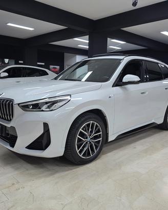 Bmw X1 xDrive 20d Msport (Tetto)