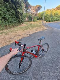 WILIER TRIESTINA GRANTURISMO