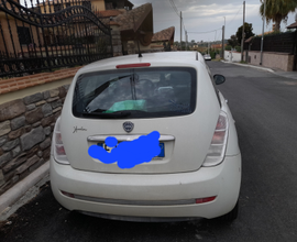 Lancia y 2011 bianca