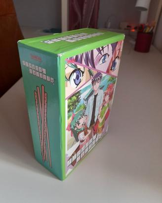 Please Twins Box 4 DVD