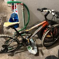 bicicletta 
