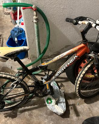 bicicletta 