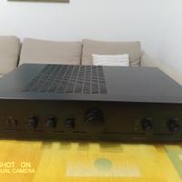 Amplificatore  Proton  AM-2