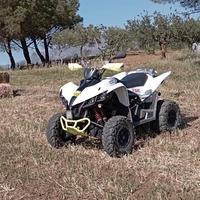 quad TGB 425cc target