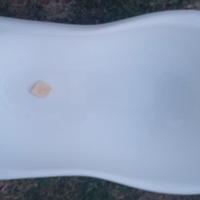 Vaschette per bagnetto