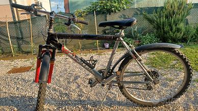 bicicletta ragazzo ruota 24