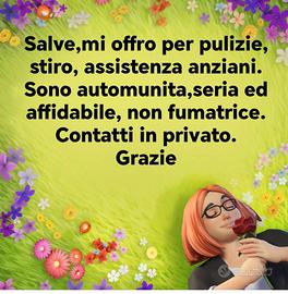 Pulizie badante baby sitter stiro