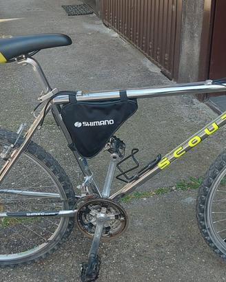 Bicicletta mountain bike