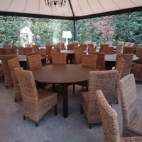 sedie in vimini tipo (rattan) 