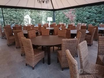 sedie in vimini tipo (rattan) 