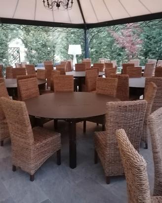 sedie in vimini tipo (rattan) 