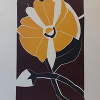 Serigrafia di UGO NESPOLO