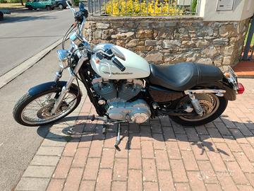 Harley Davidson 883 XL custom