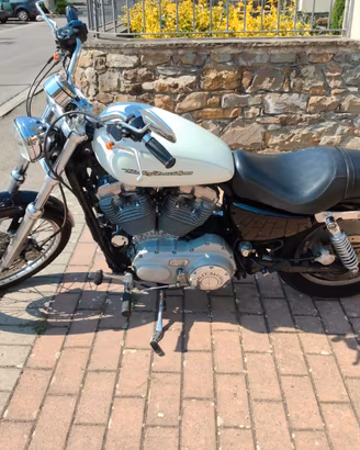 Harley Davidson 883 XL custom