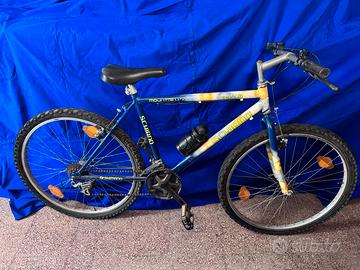 Bicicletta mountain bike 26 pollici