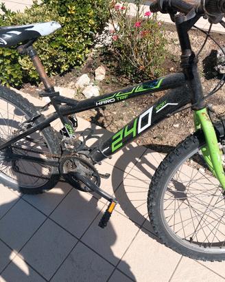 Bicicletta per ragazzi 