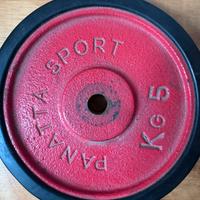 Coppia dischi Panatta Sport